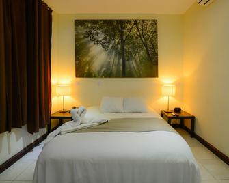Hotel Luisiana - Santa Ana - Habitación