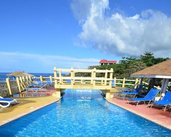 Seagrape Plantation Resort & Dive Center - Coxen Hole - Pool