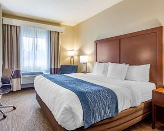 Comfort Inn Rockford near Casino District - Rockford - Habitación